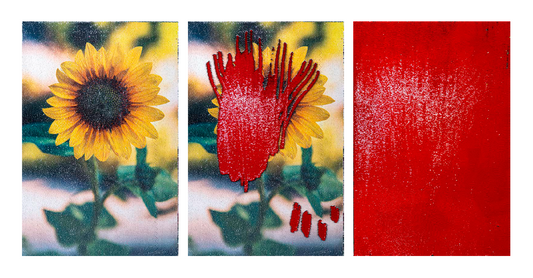 Sonnenblume (Sommer)