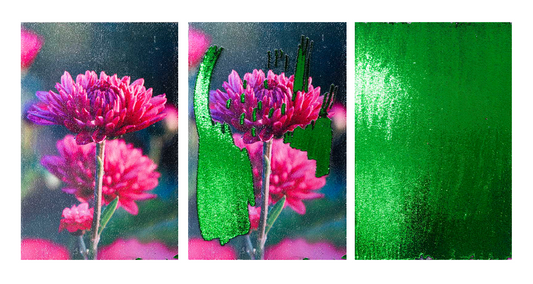 Chrysantheme (Herbst)