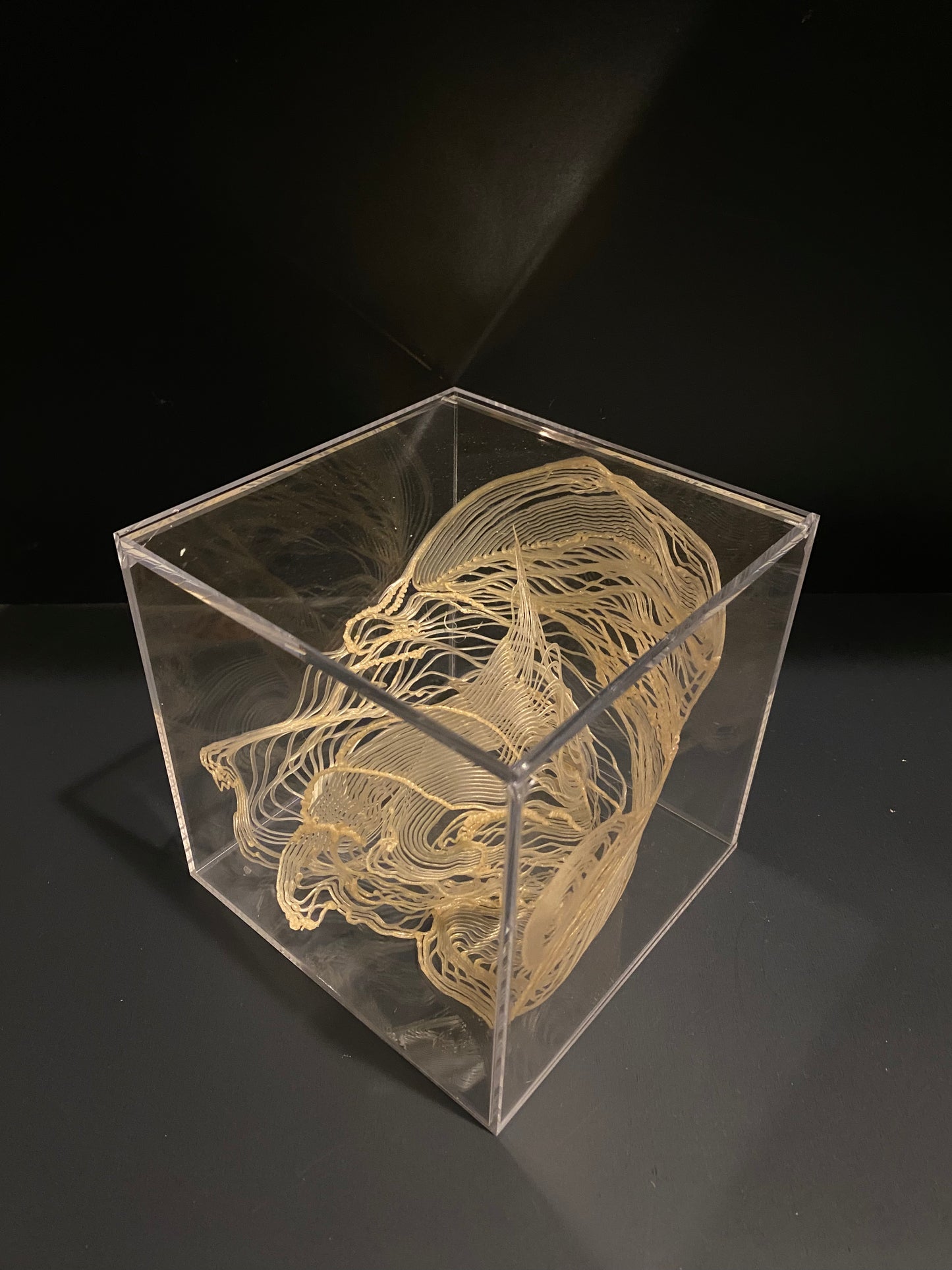Fluidum Nudus