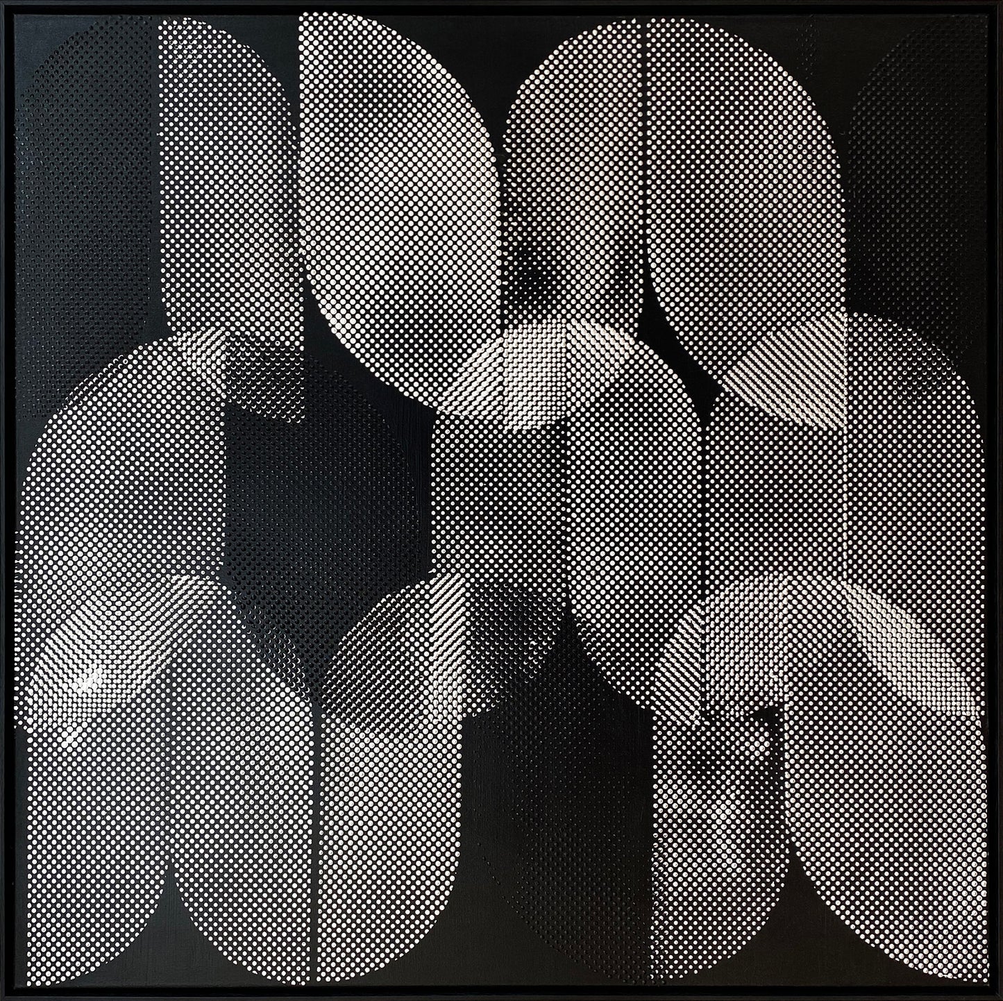 BLACK TULIPS