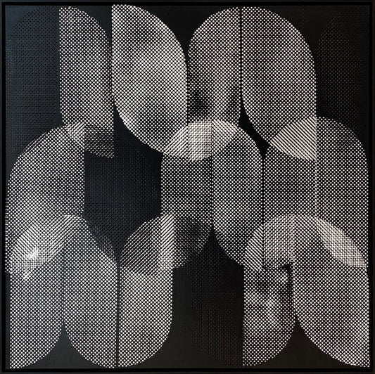 BLACK TULIPS