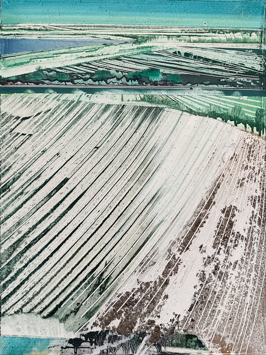 fields 02