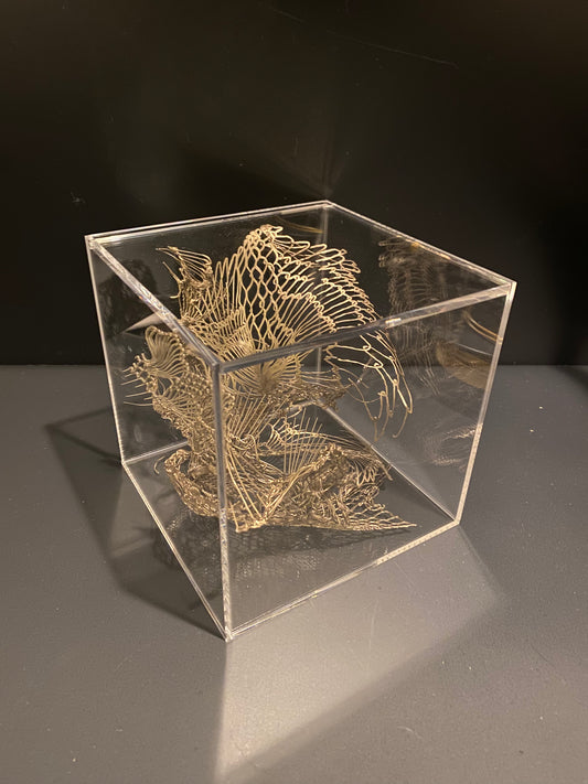 Fluidum Aereum