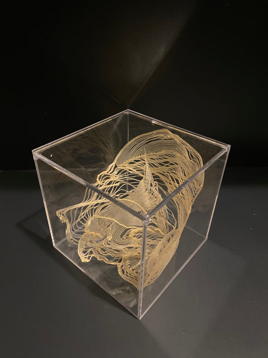 Fluidum Nudus