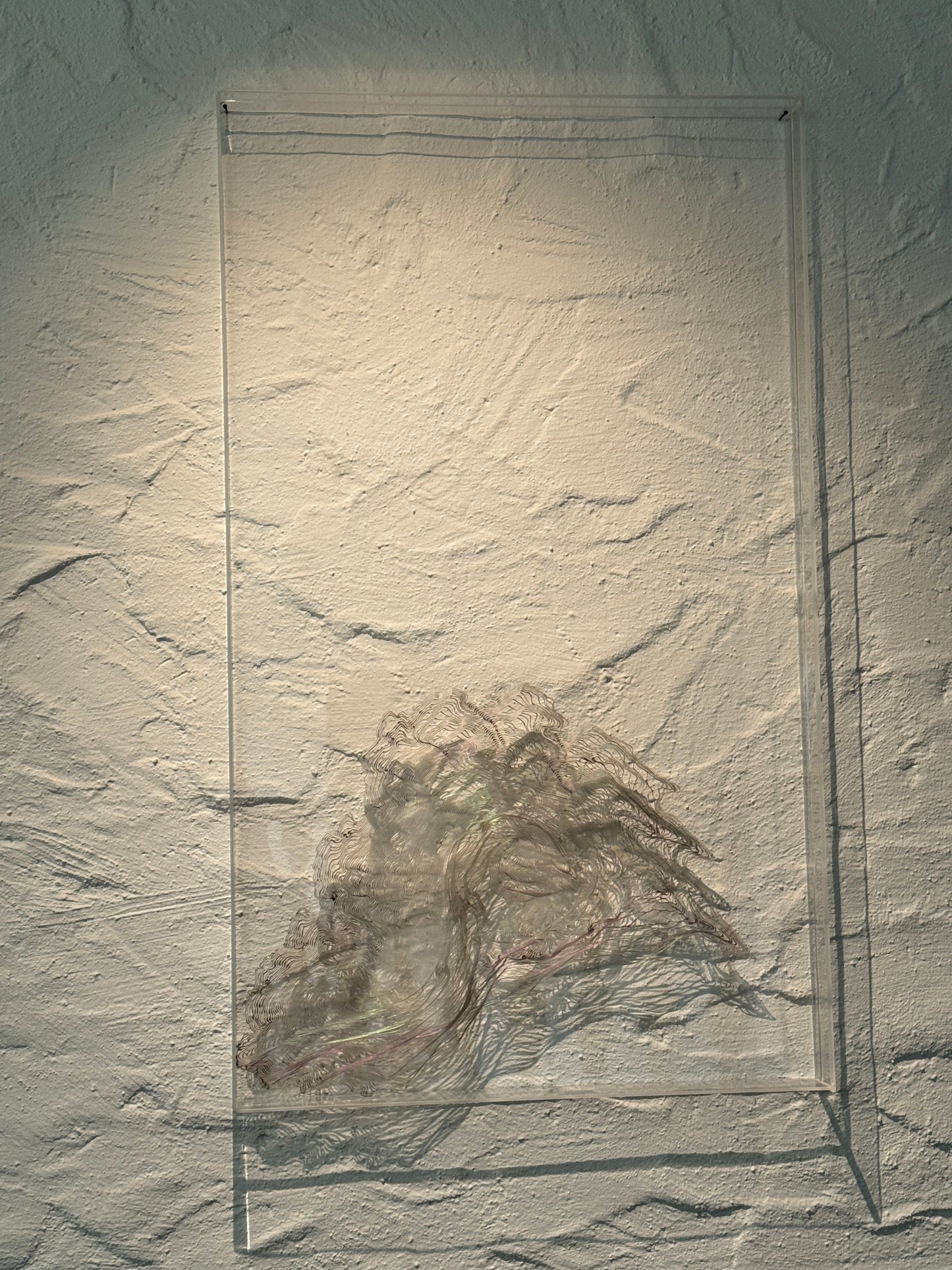C.Fluidum 3