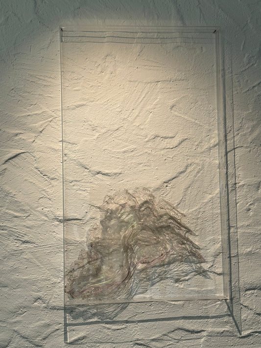 C.Fluidum 3