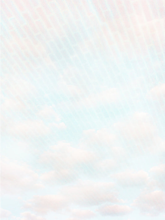 Shy Sky